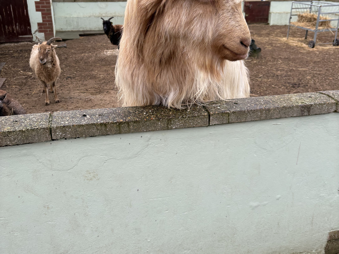 Natureland Seal Sanctuary-斯凯格内斯必去景点