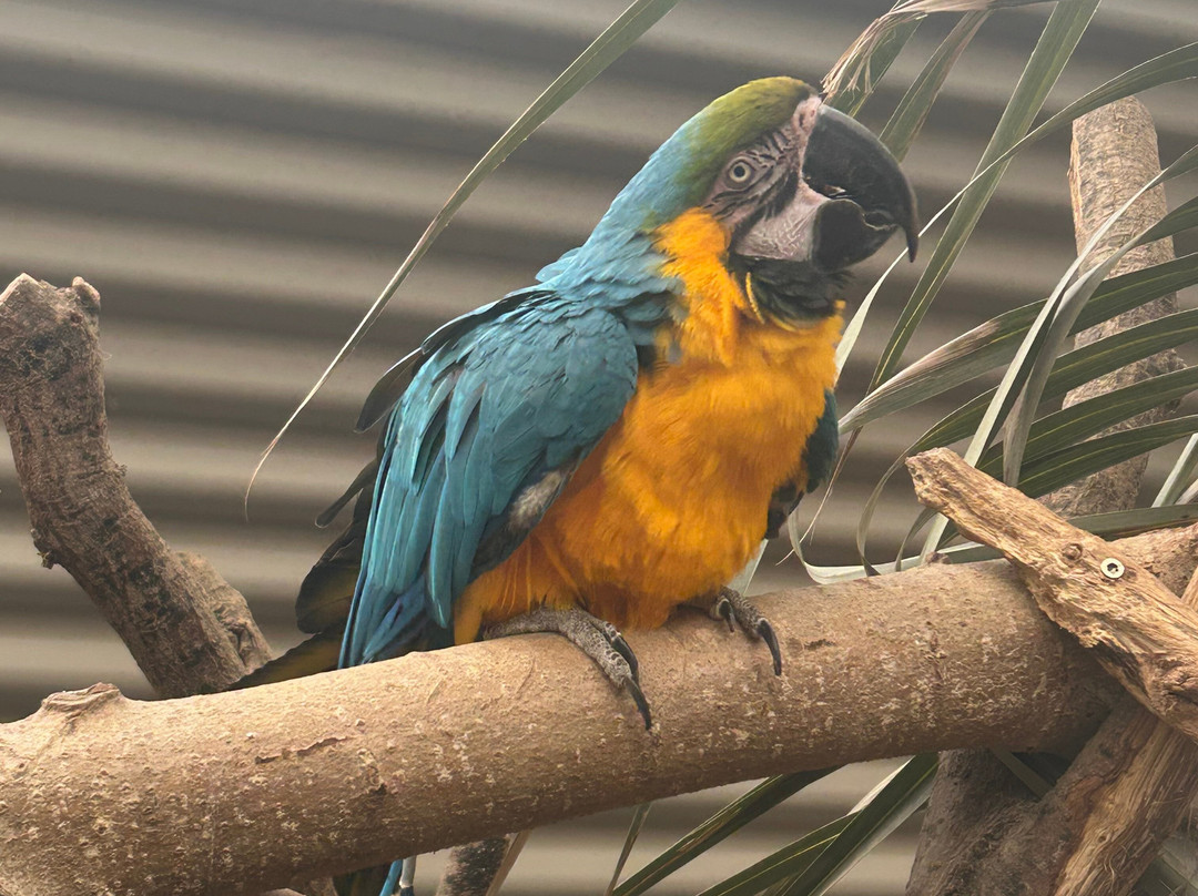 Wild Zoological Park-Bobbington必去景点