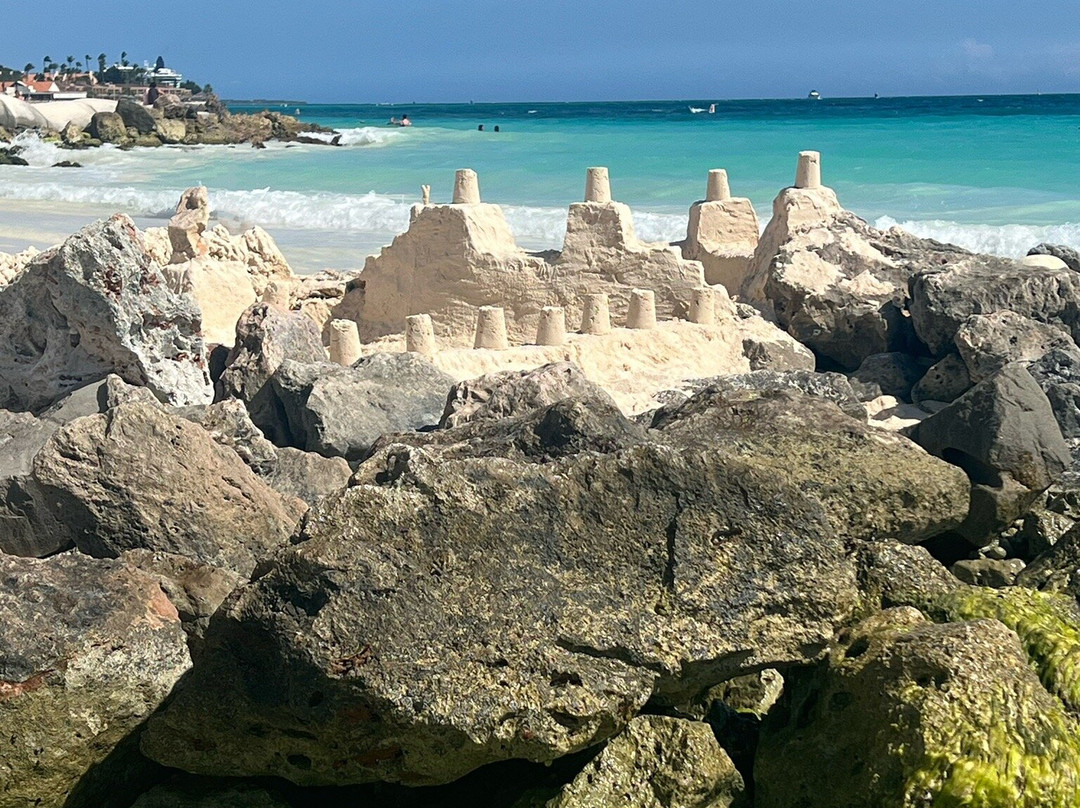 Manchebo Beach-棕榈/鹰海滩必去景点