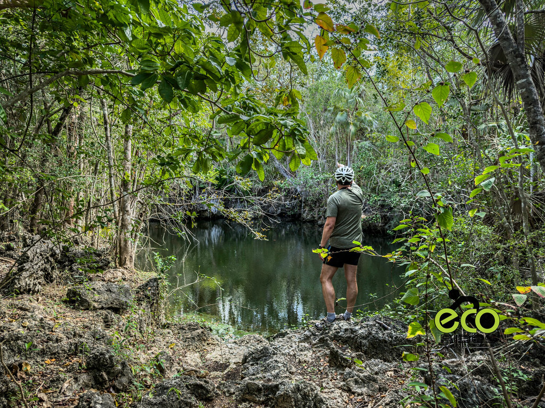 ECO Rides Cayman-East End必去景点