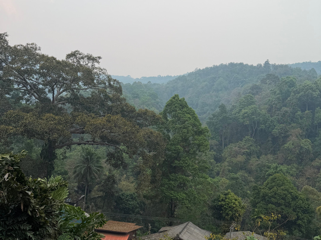 清迈旅游中心-清迈必去景点