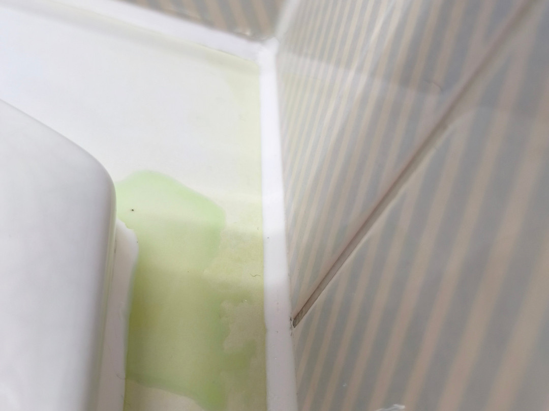 邓巴顿旅客之家酒店主图