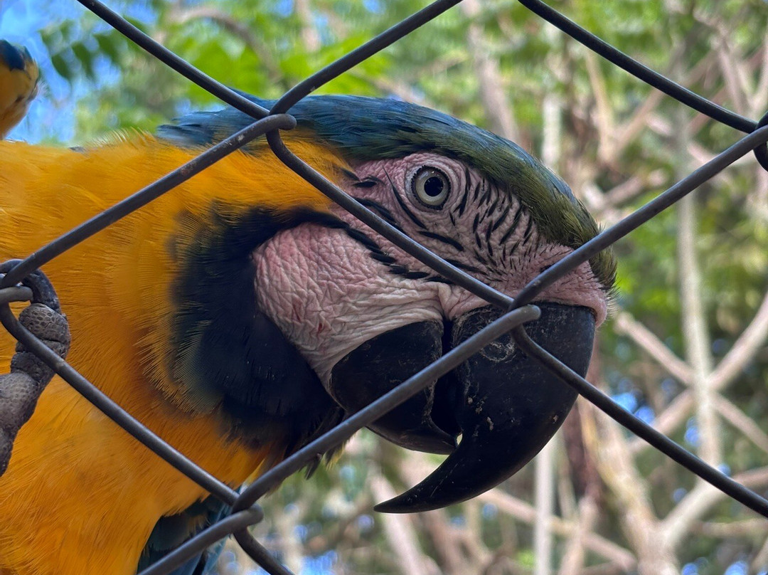 Refugio Zoologico-Samaipata必去景点