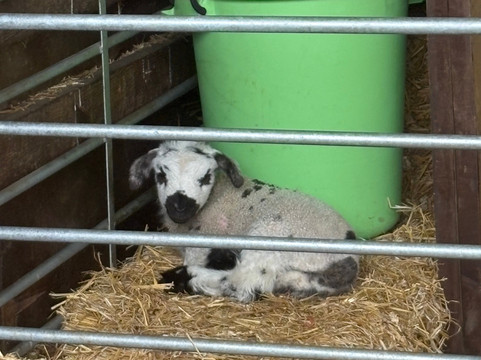 Thrift Farm-Whaddon必去景点