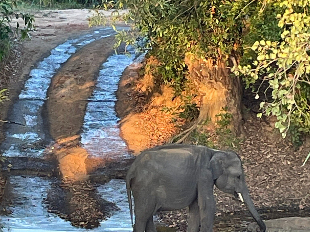 BH Lanka Tours-Kurunegala必去景点