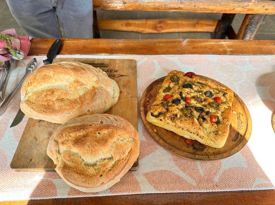 Forest Side Farm - Homestay at Kotabagh Near Nainital and Jim Corbett主图