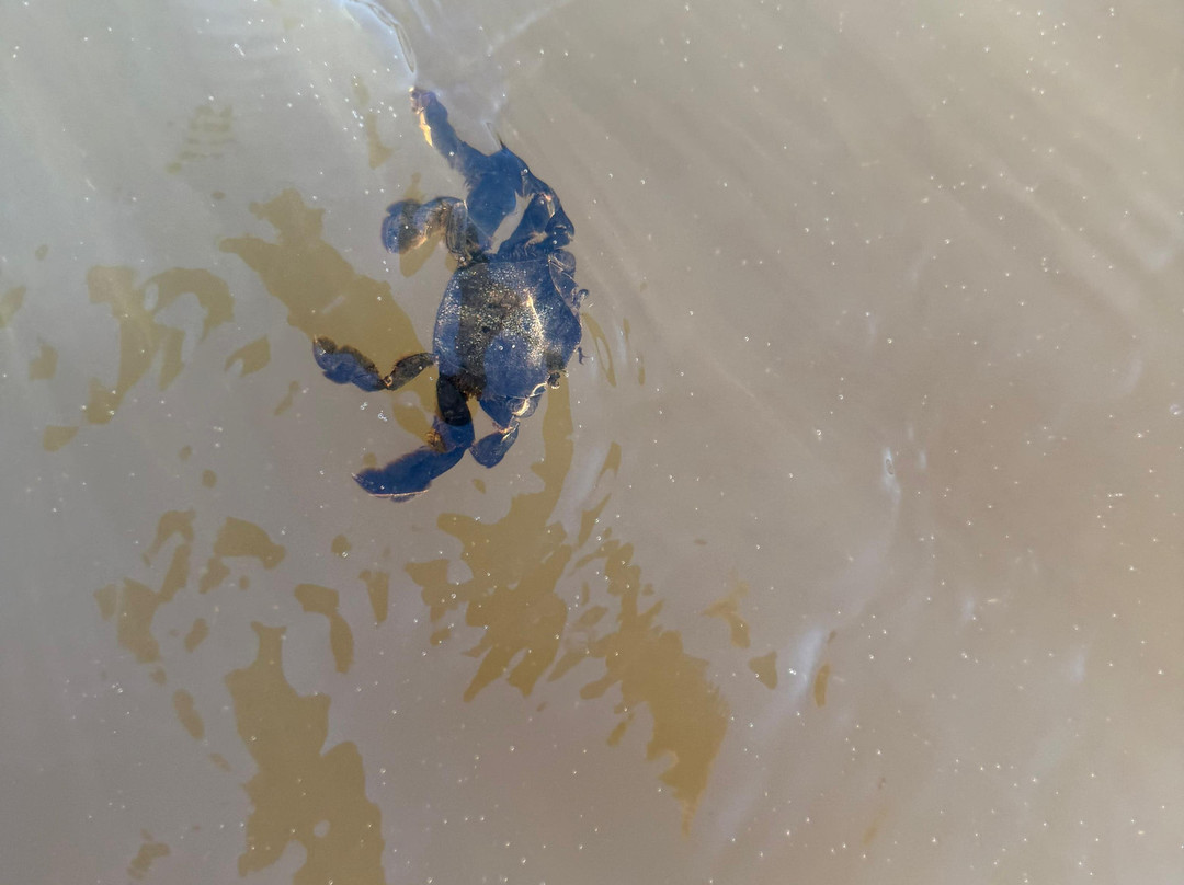 Mtunzini Beach-马图纪尼必去景点