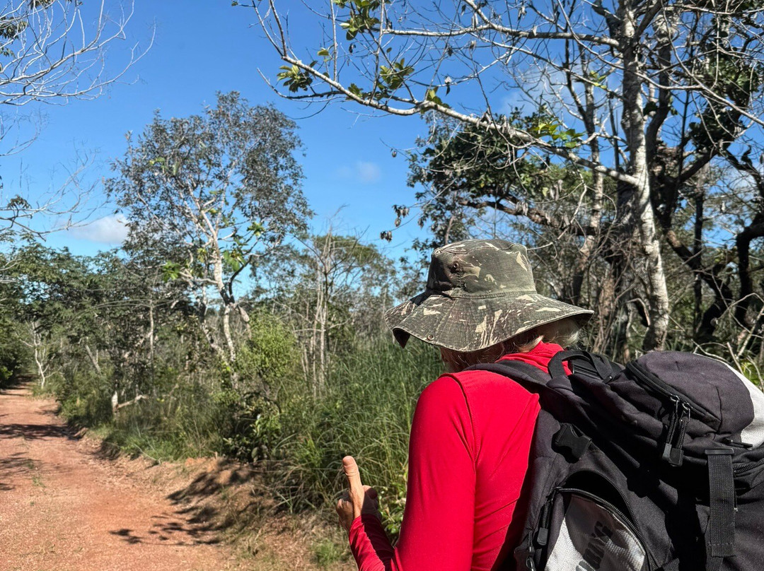 Morro Sao Jeronimo-Chapada dos Guimaraes必去景点