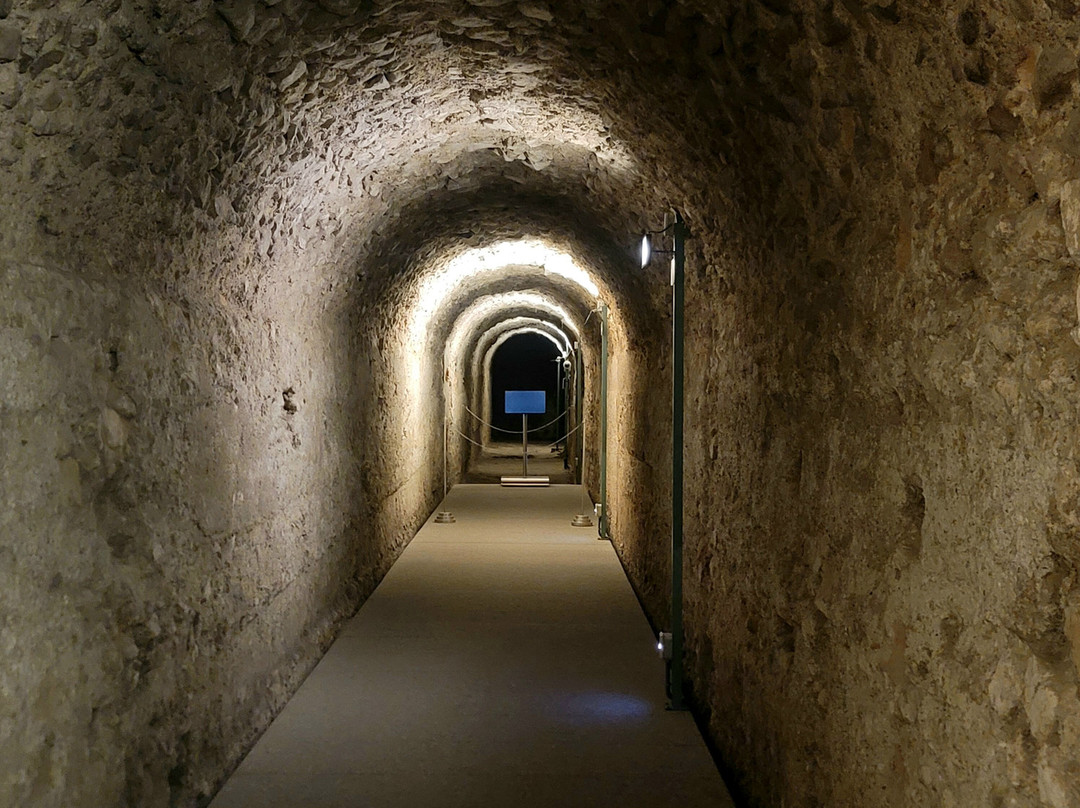 Museo del Foro de Caesaraugusta-萨拉戈萨省必去景点