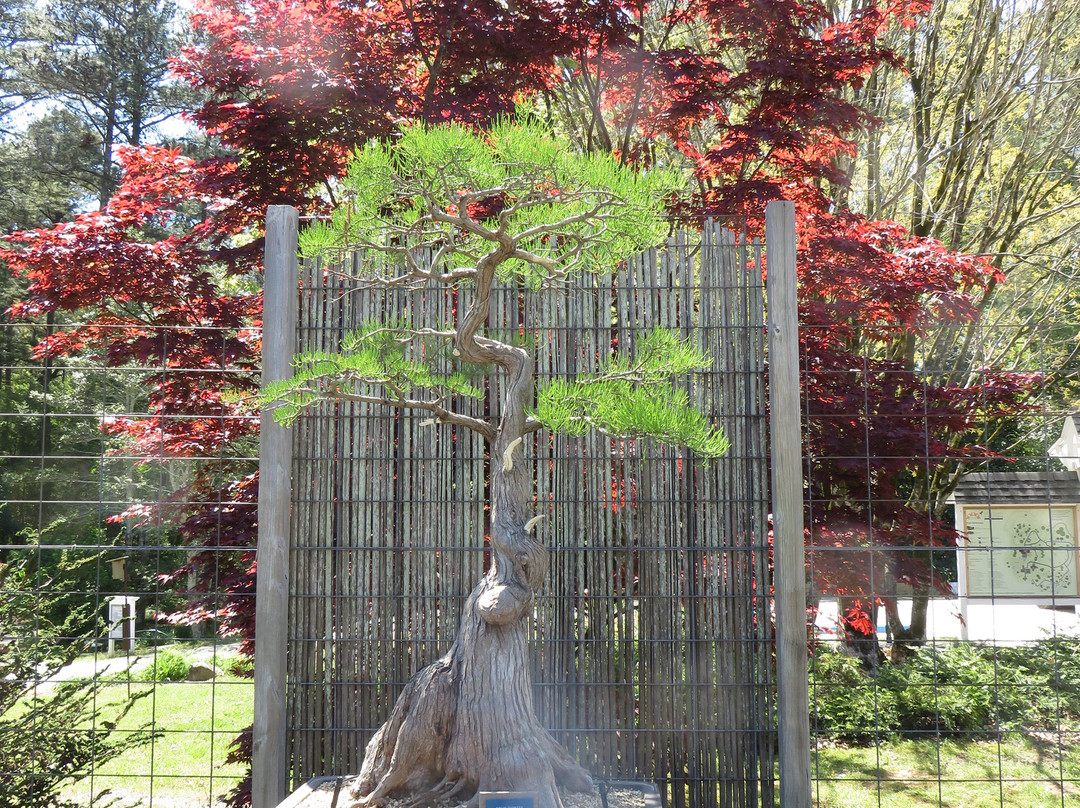 Smith Gilbert Gardens-肯纳索必去景点