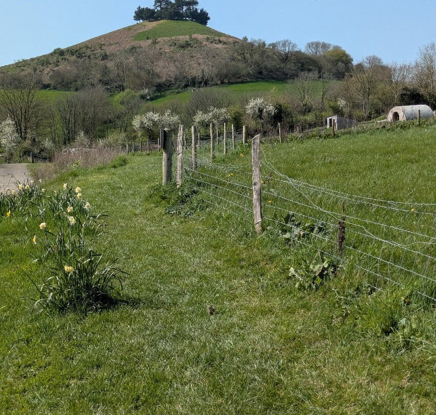 Symondsbury Estate-Symondsbury必去景点