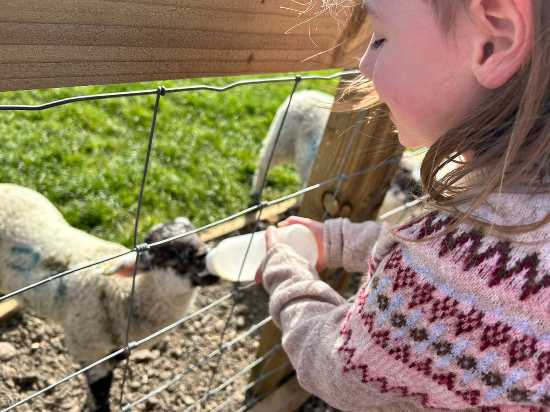 Monk Park Farm-Bagby必去景点