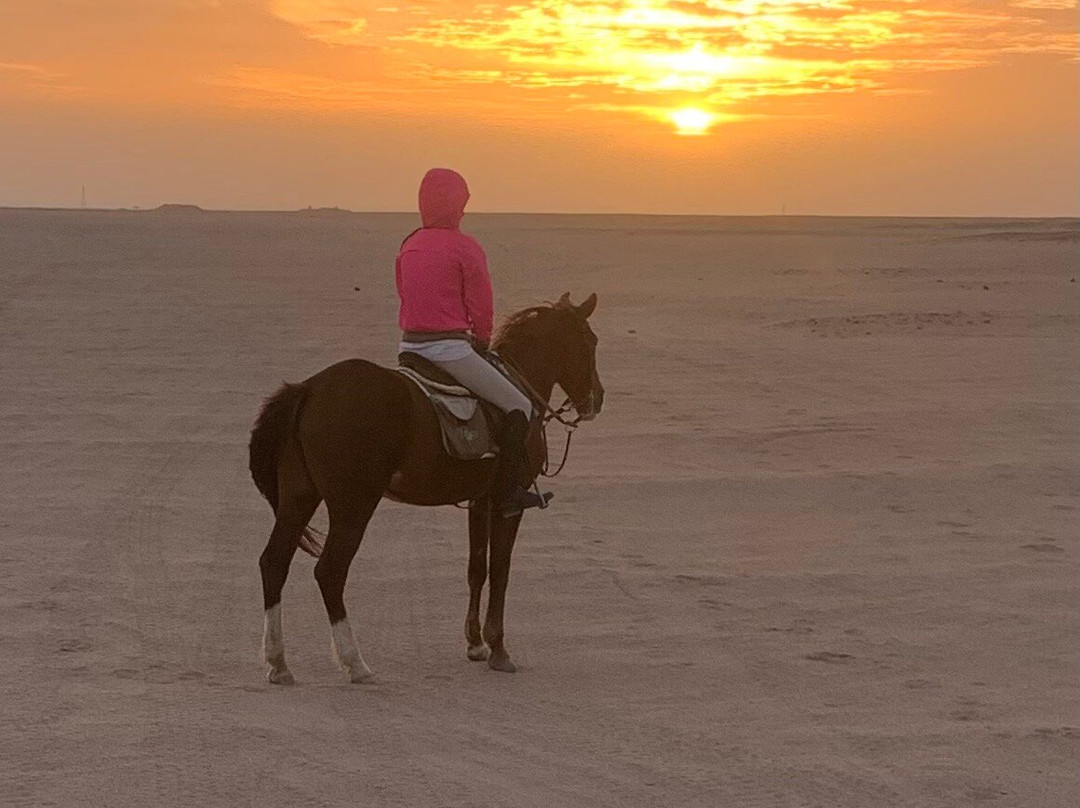 Equestrian Dream Egypt-赫尔格达必去景点