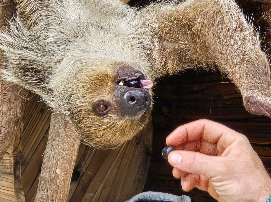McCarthy's Wildlife Sanctuary-西棕榈滩必去景点