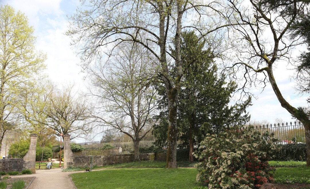 Jardin Botanique des Chevannes-多勒必去景点