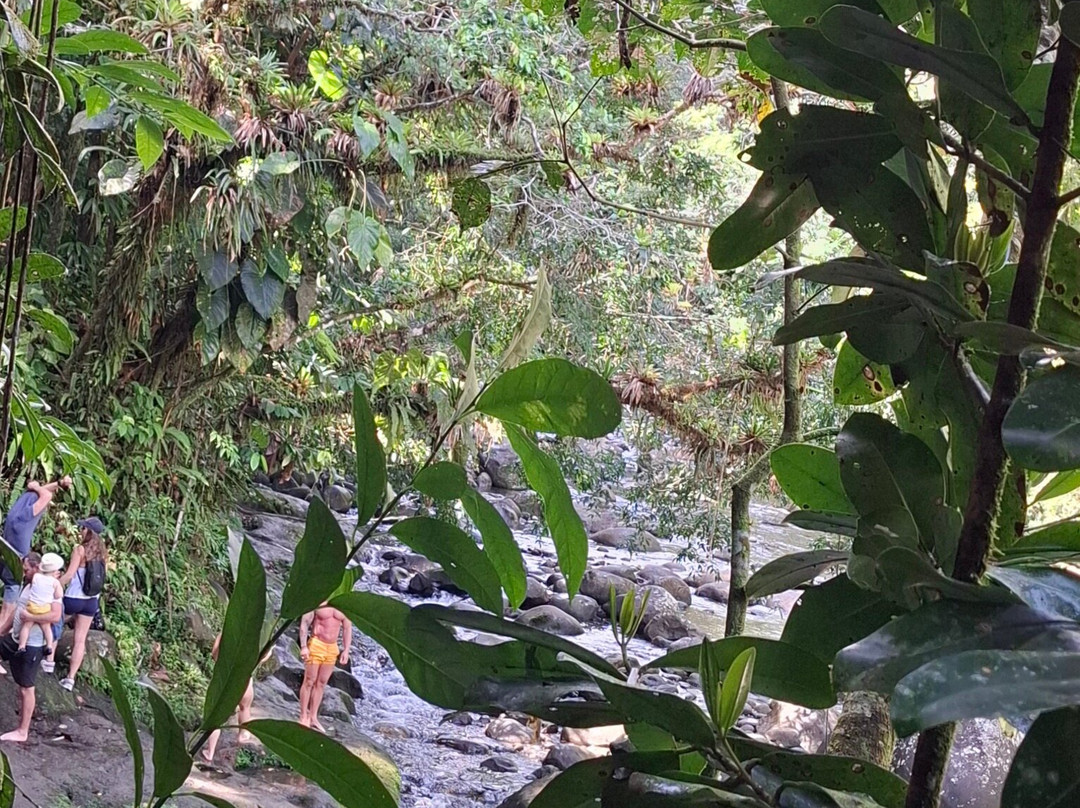 Le SDG - Cascade-Fonds Saint Denis必去景点