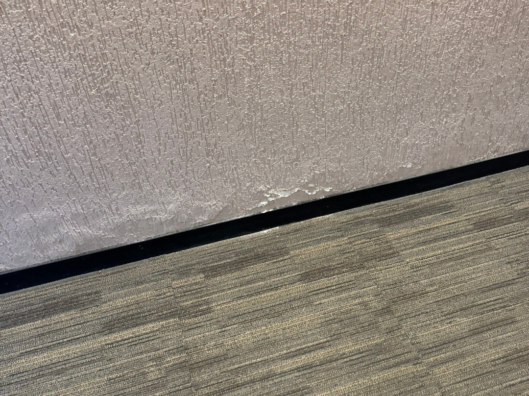 Lidotel 巴基西梅托主图