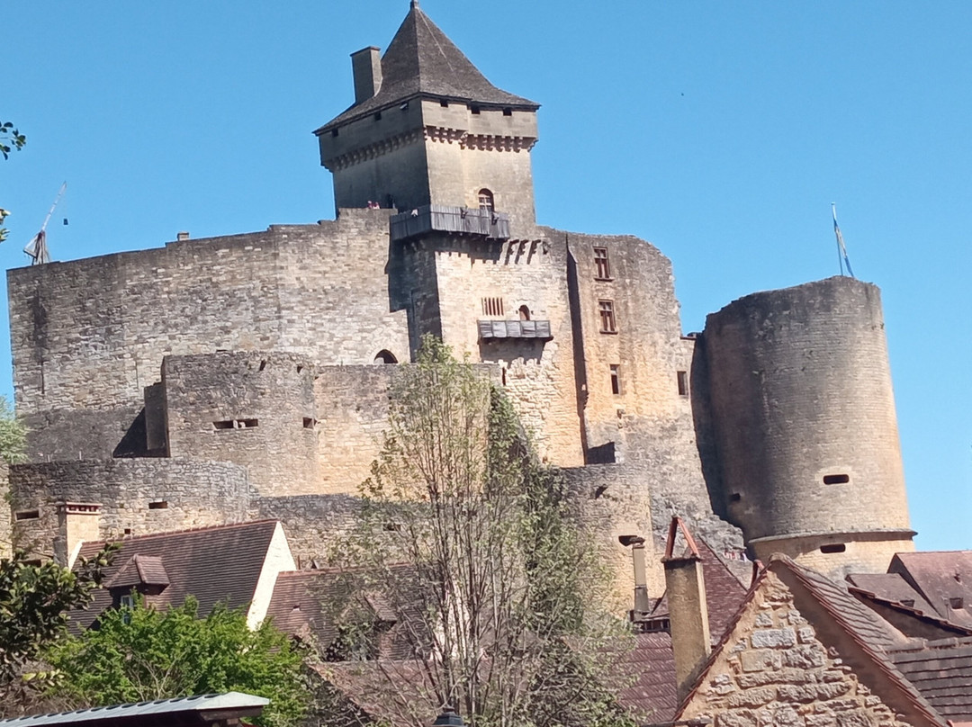 Château de Castelnaud-Castelnaud-la-Chapelle必去景点