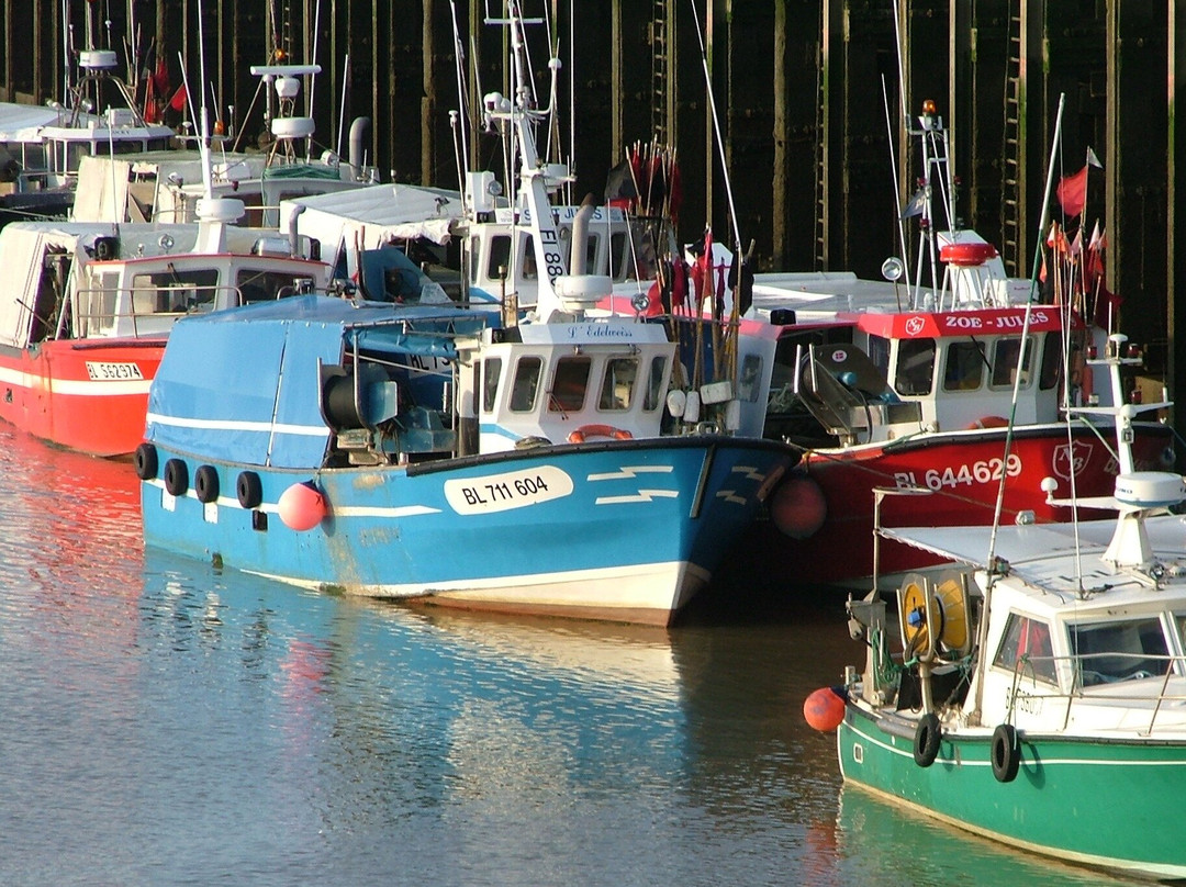 OPAL COAST TOURS