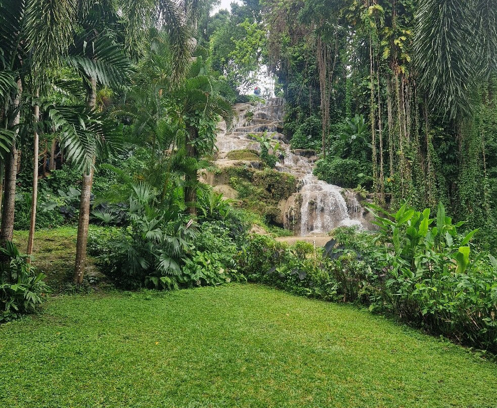 Konoko Falls & Park-奥乔里奥斯必去景点