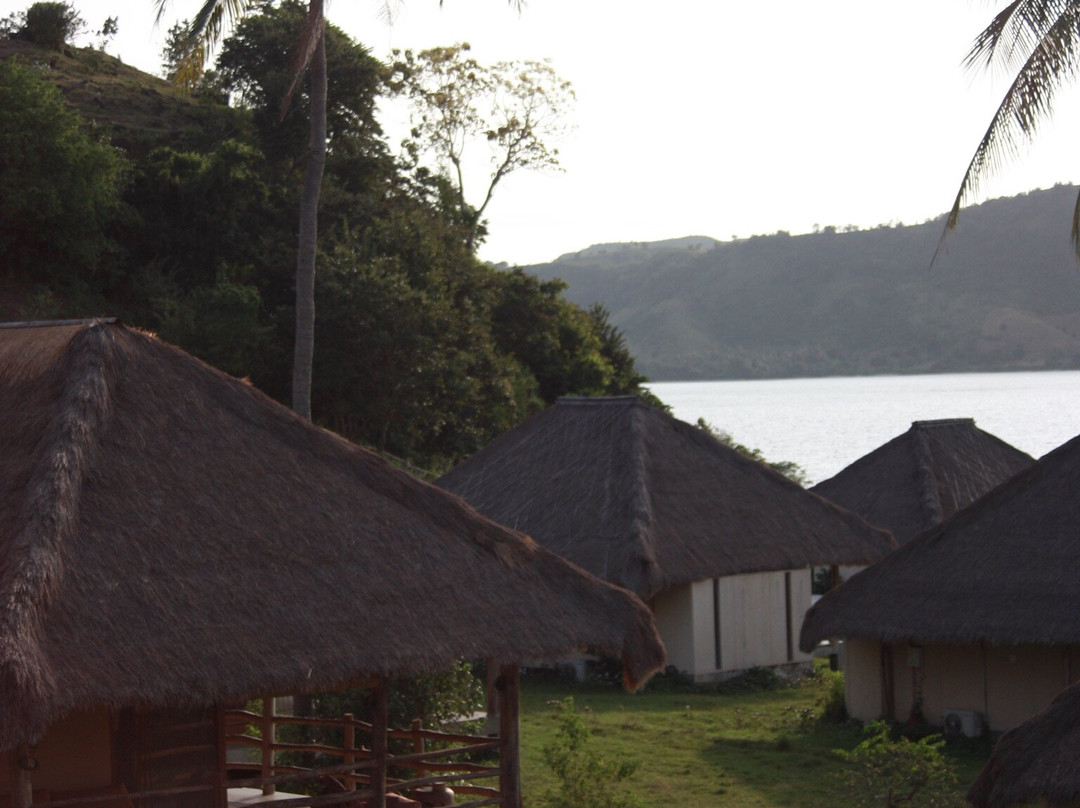 布鲁马蒂斯吉利阿萨汉主图