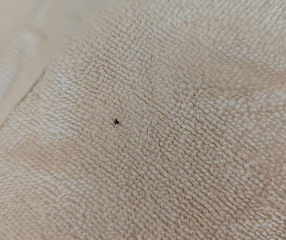 热浪岛拉古娜度假村主图