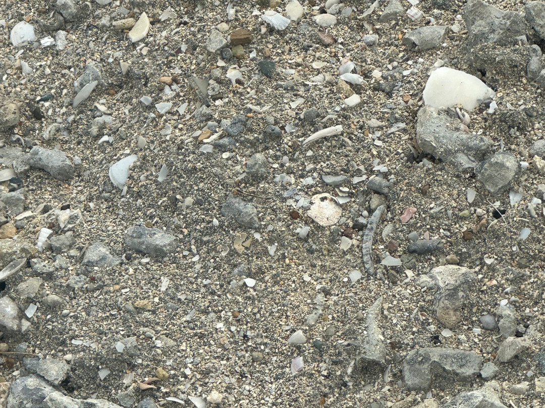 斐济六善酒店, IHG酒店主图