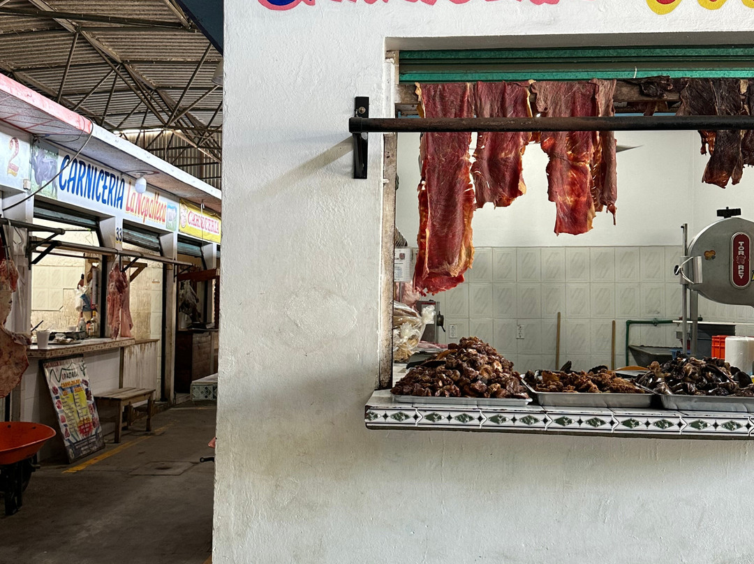 Gina In Puerto Escondido-埃斯孔迪多港必去景点