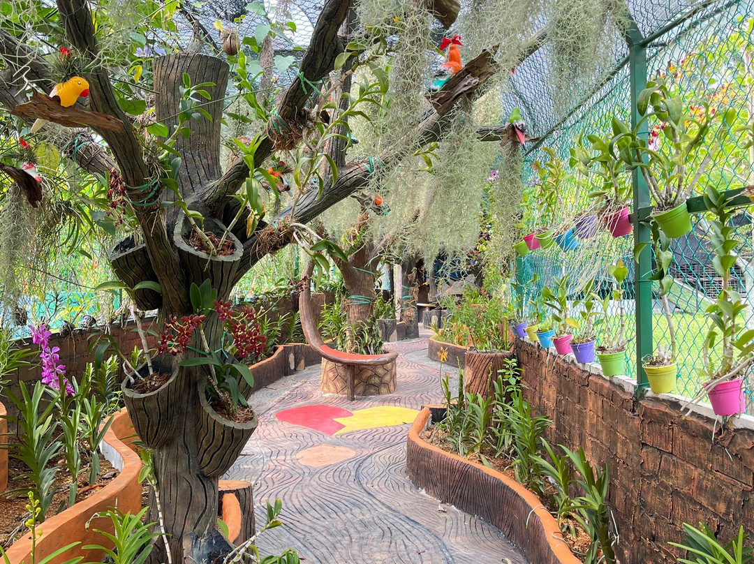 Zahara Garden-务边必去景点