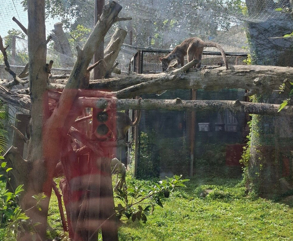 Lo Zoo di Napoli-那不勒斯必去景点