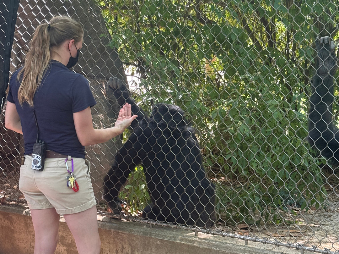 Chattanooga Zoo-查塔努加必去景点