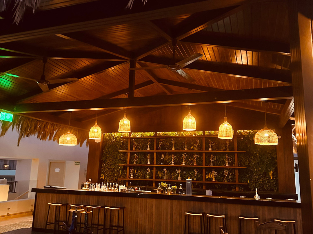 JAZ 科斯塔马雷斯主图