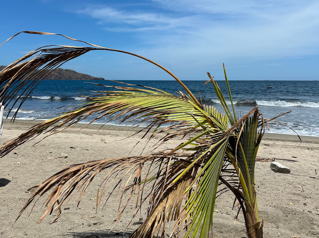 Costa Rica Unique Transfers and Tours-利比里亚必去景点