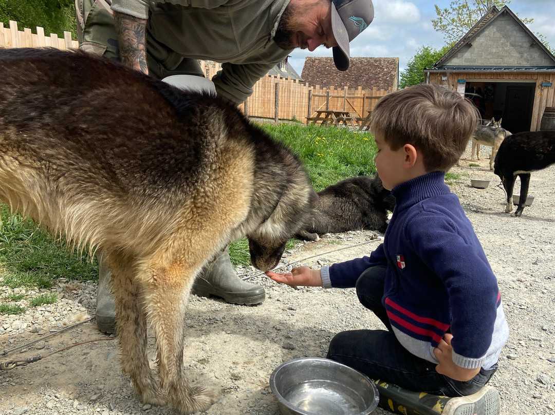 Sled Dog Ride-Saint-Symphorien必去景点