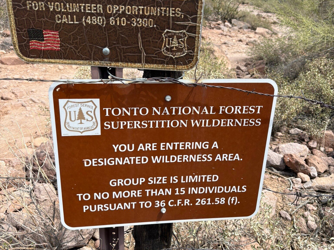 Tonto National Forest-亚利桑那必去景点
