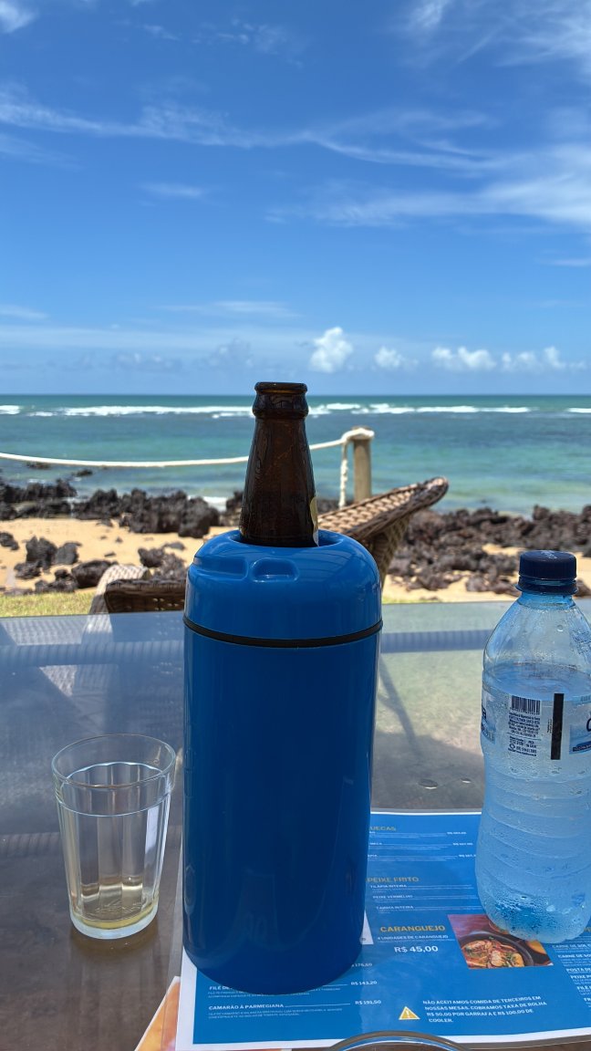 Praia Das Tartarugas-旅行者