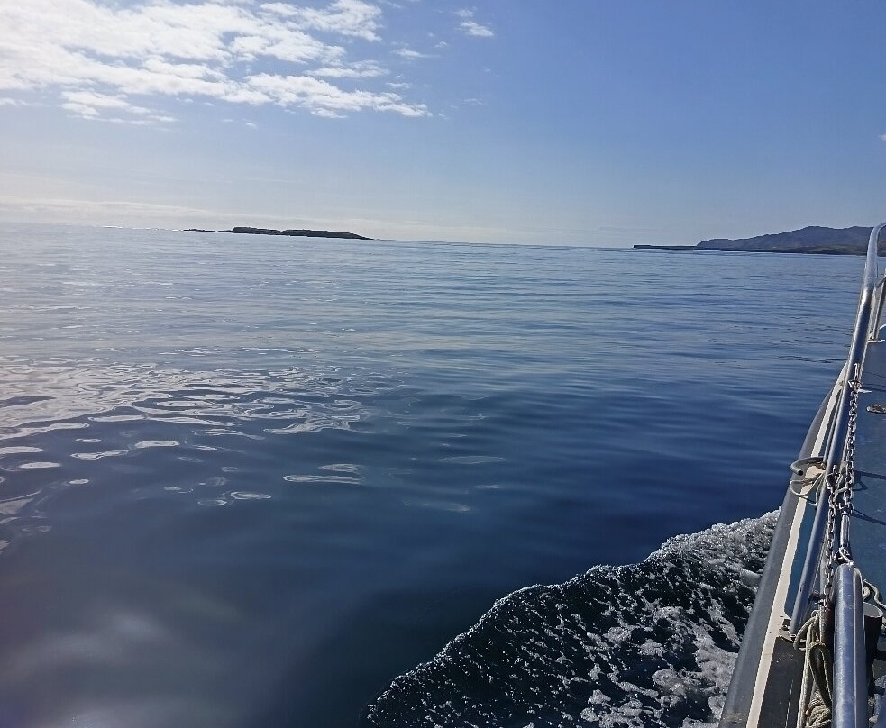 Killybegs Angling Charters-Killybegs必去景点