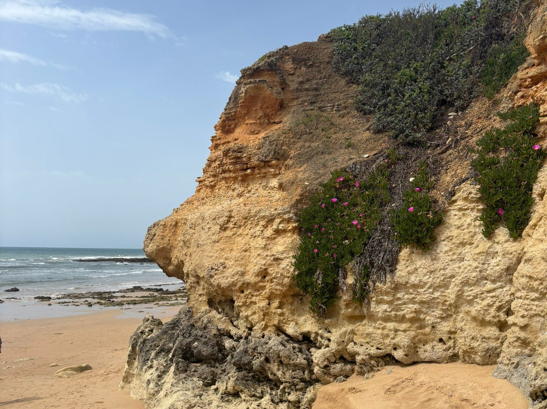 Praia Dos Olhos De Água-Olhos de Agua必去景点
