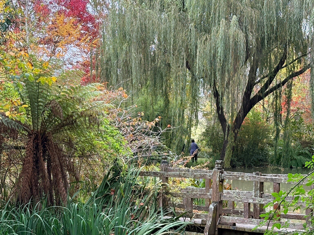 Red Cow Farm - Open Garden-Sutton Forest必去景点