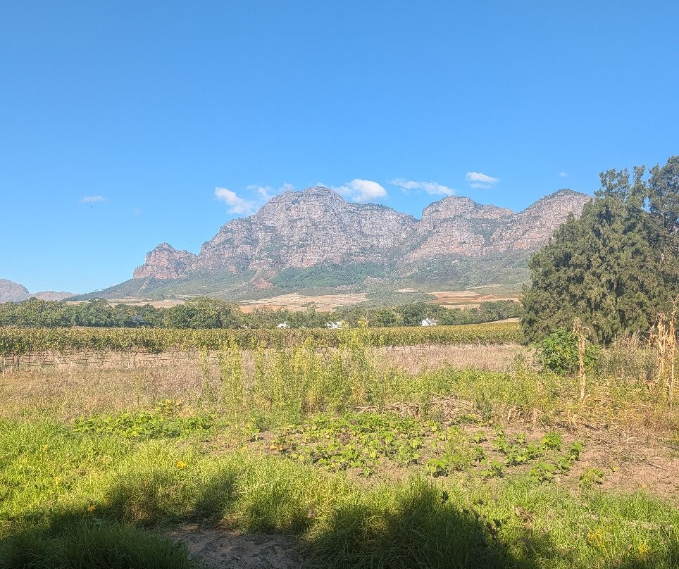Wine Valley Adventures-法兰舒克必去景点