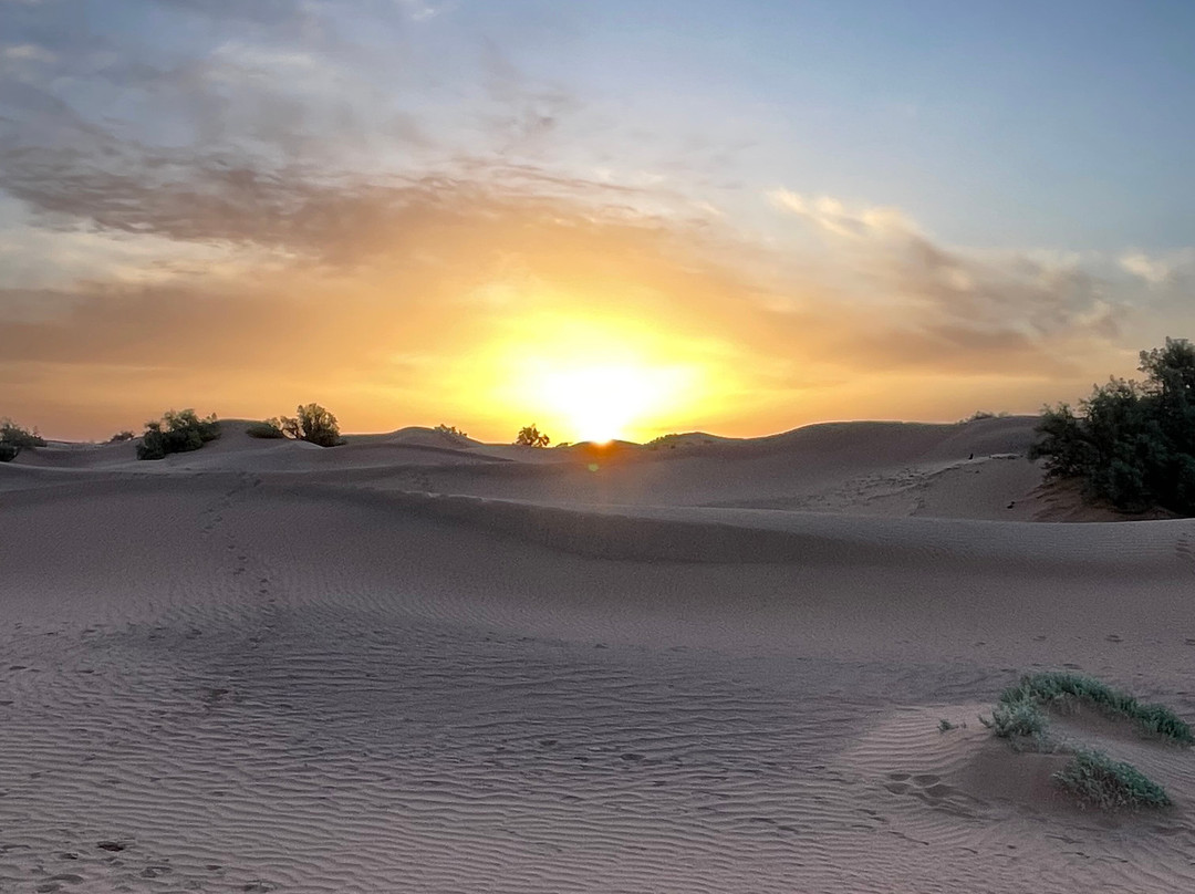 Desert Tour-扎古拉必去景点