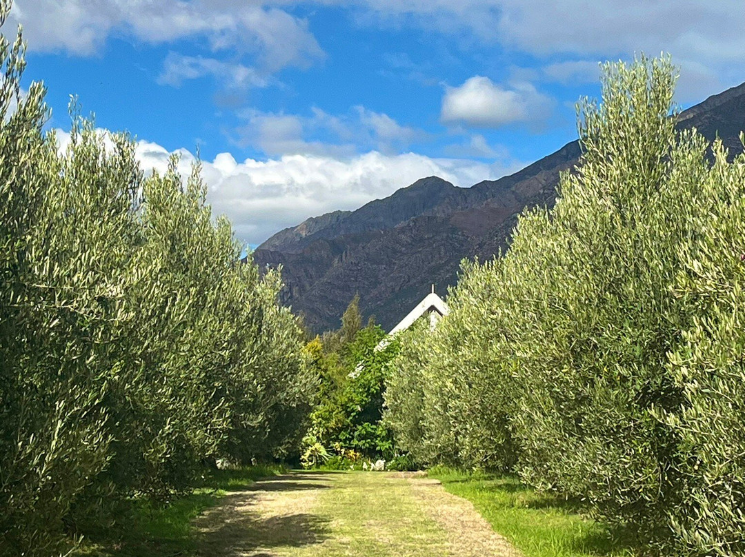 Mirihof Olive and Guest Farm主图