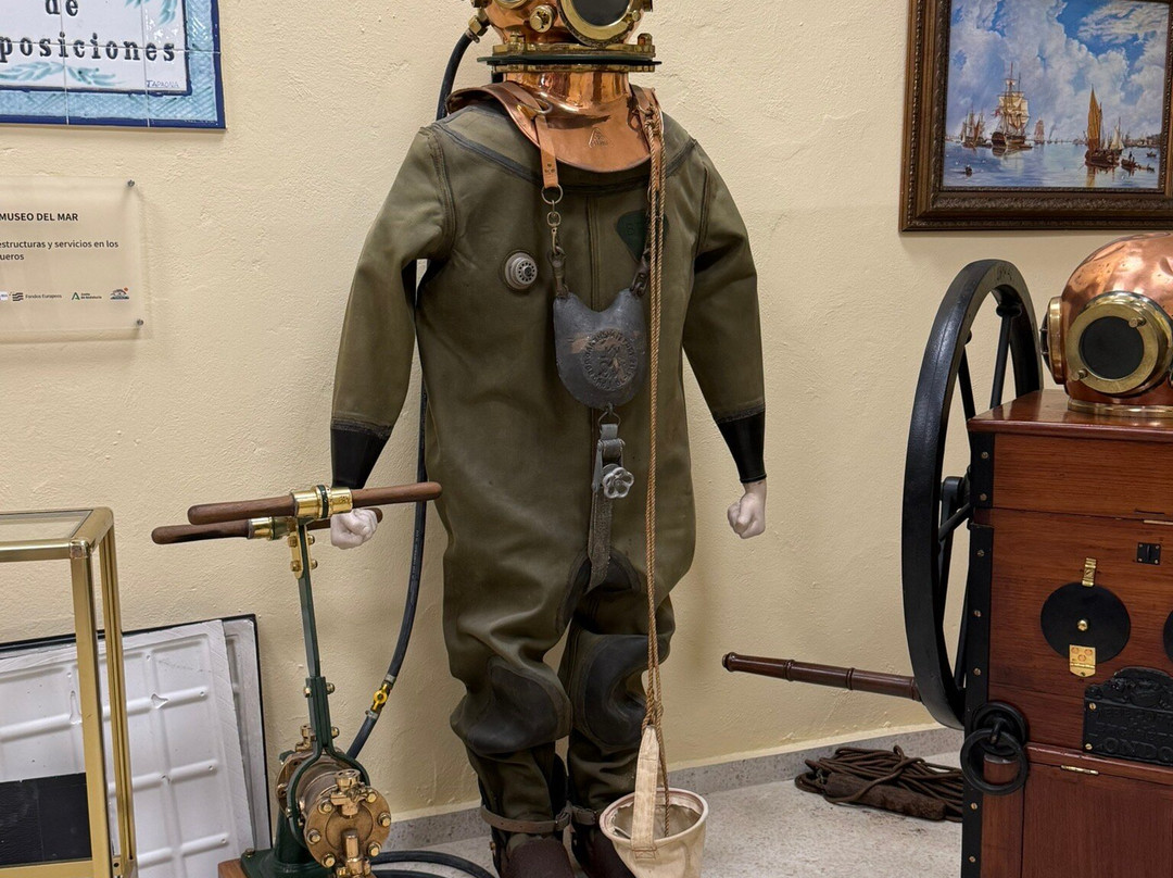 Palaeontology Museum of Estepona-埃斯特波纳必去景点