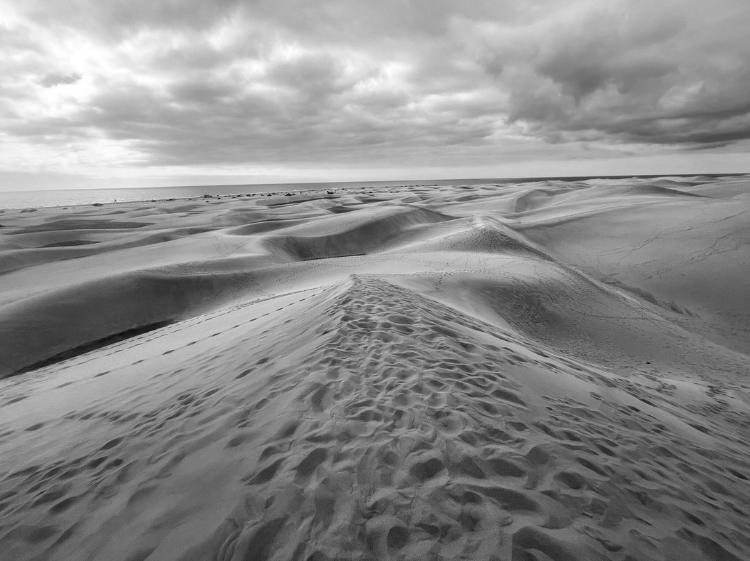 Reserva Natural Especial de Las Dunas de Maspalomas-马斯帕洛马斯必去景点