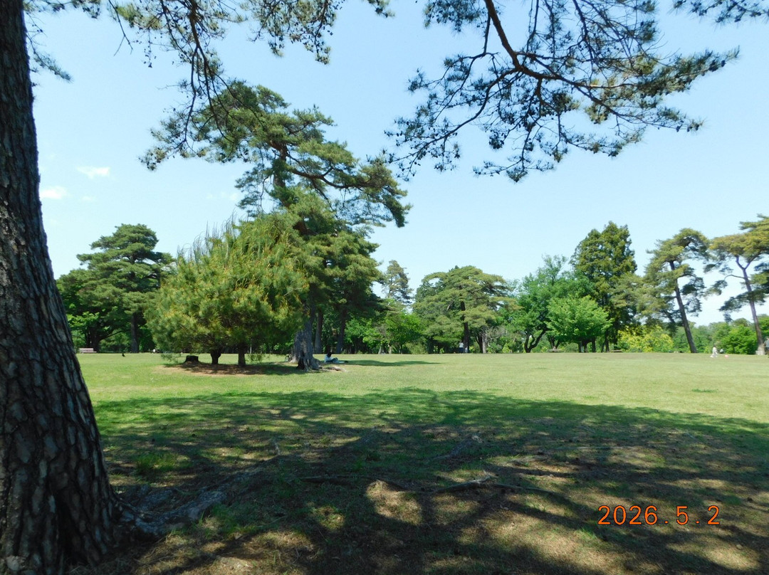 Sayama Inariyama Park-狭山市必去景点