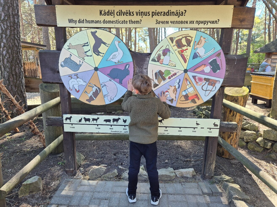 Riga Zoo-里加必去景点