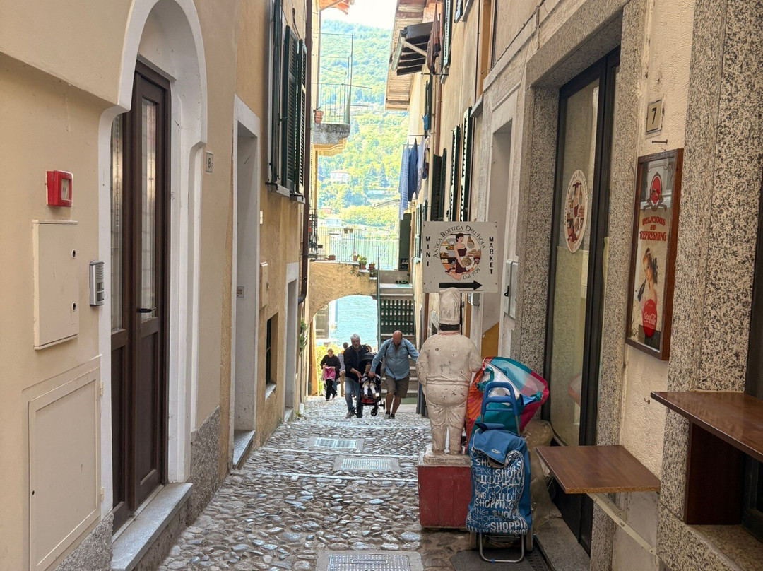 金鱼酒店主图