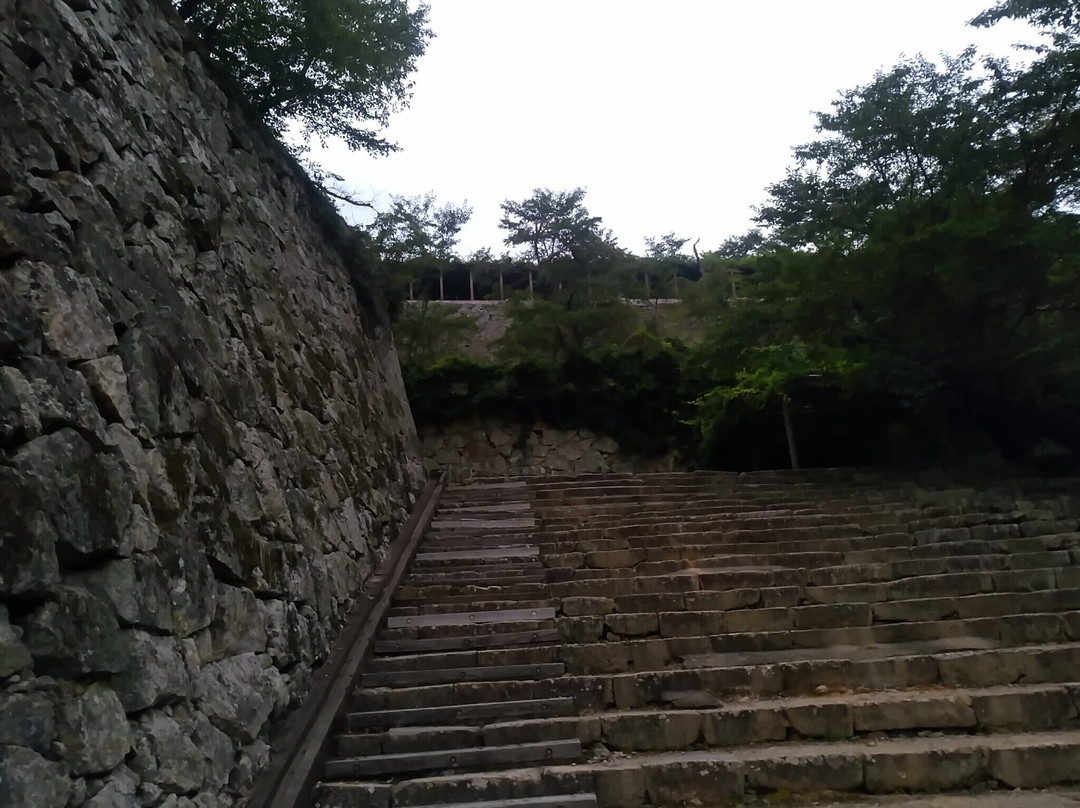 Tsuyama Castle (Kakuzan Park)-津山市必去景点