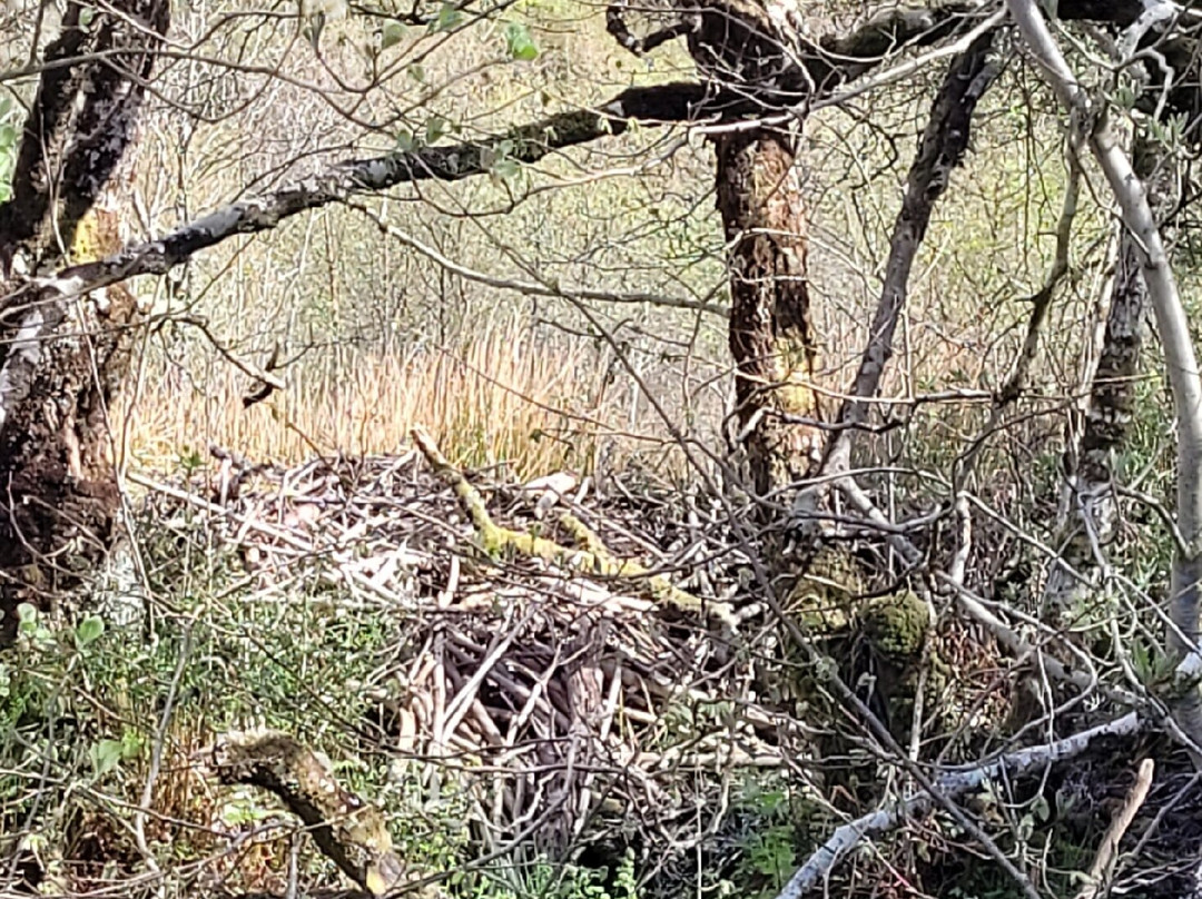 Argyll Beaver Centre-Lochgilphead必去景点