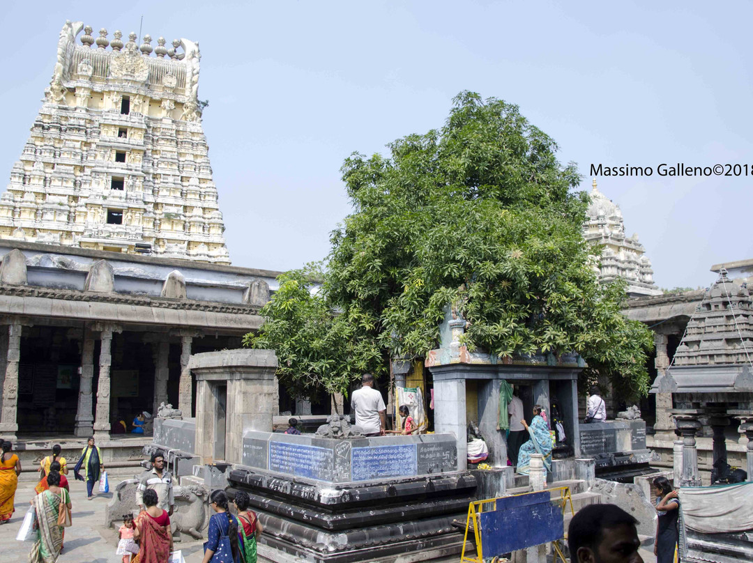 Ekambareswarar Temple-甘吉布勒姆必去景点